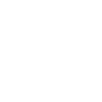 Spécialiste WordPress